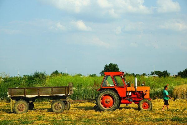 Quels sont les avantages de l'utilisation de produits biologiques dans votre cuisine ?