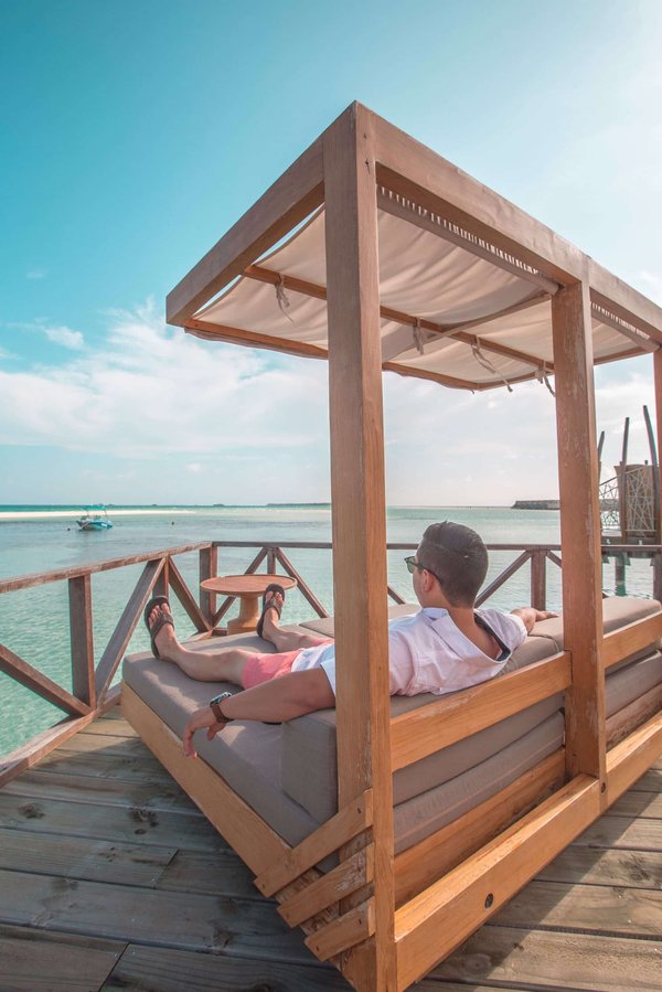 Épice du monde pour sublimer vos plats